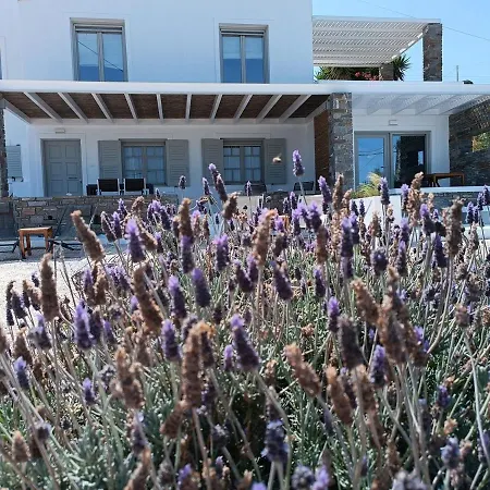 Nesaea Seafront House בית נופש *