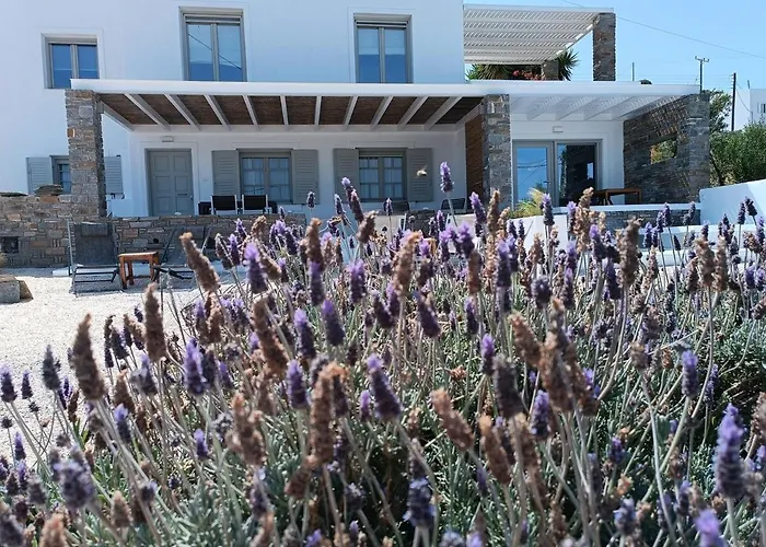 Nesaea Seafront House בית נופש *