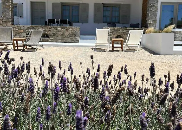 בית נופש Nesaea Seafront House