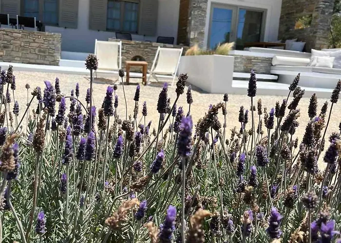 Nesaea Seafront House בית נופש *