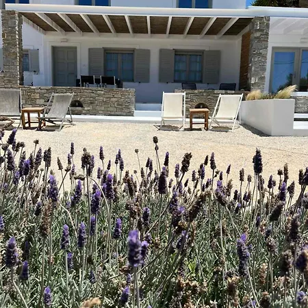 בית נופש Nesaea Seafront House