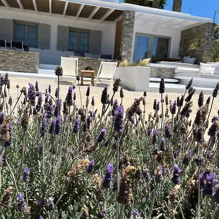 Nesaea Seafront House Hébergement de vacances *